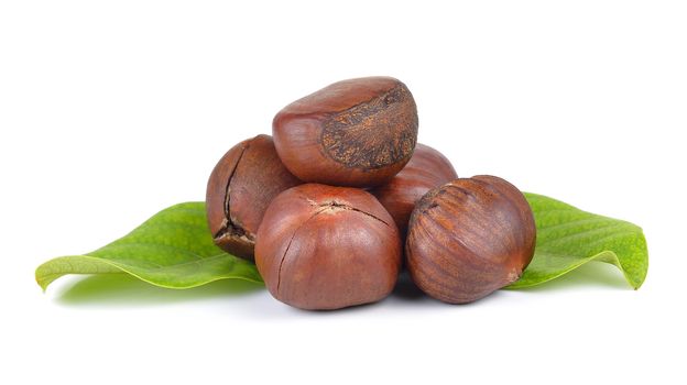 chestnuts on white background