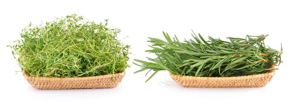 Fresh thyme and rosemary in basket on white background