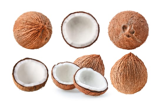 set of coconut on white background