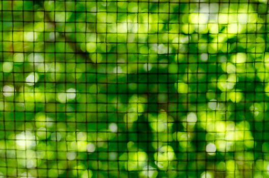 Green vegetative background through a metal lattice. Blur.