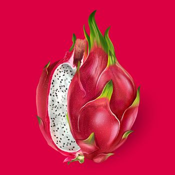 Dragon fruit illustration