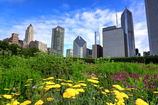 Chicago, Illinois skyline from Lurie Garden