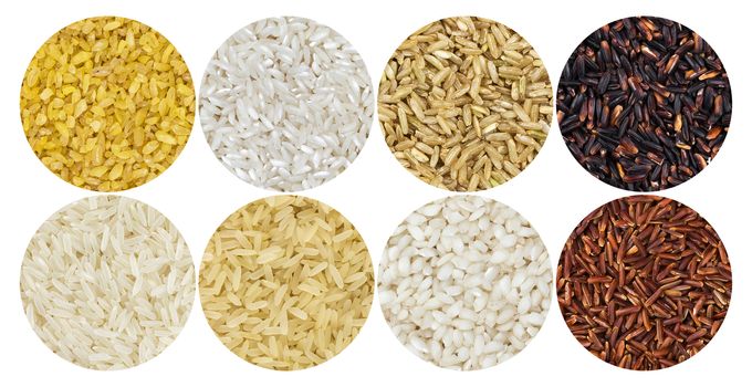 Rice pattern. Different types of rice on white background