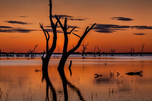 Dusk skies over the magnificent Menindee Lake