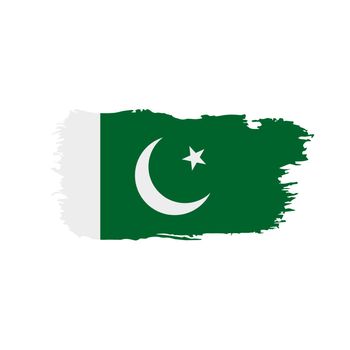 Pakistan flag, vector illustration