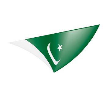 Pakistan flag, vector illustration