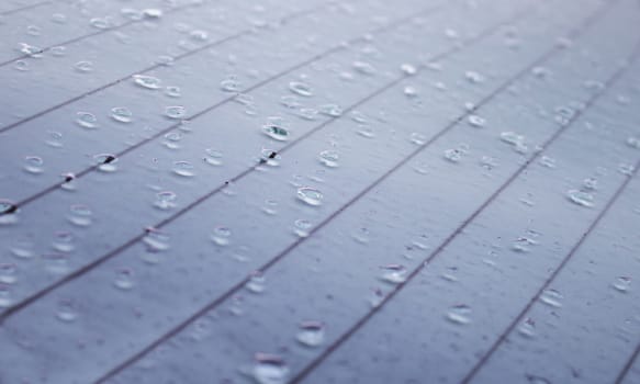 Detail of surface wet by rain
