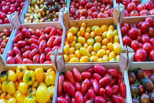 Organic fresh tomatoes    
