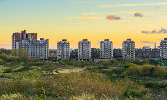 City view with flats from the dunes of Scheveningen a popular and touristic town at the beach in the Netherlands at sundown time