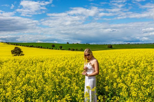 Woman stands in field of canola rural Australia
