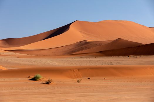 beautiful landscape Hidden Vlei in Namibia Africa