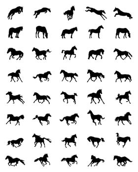 Black silhouettes of horses