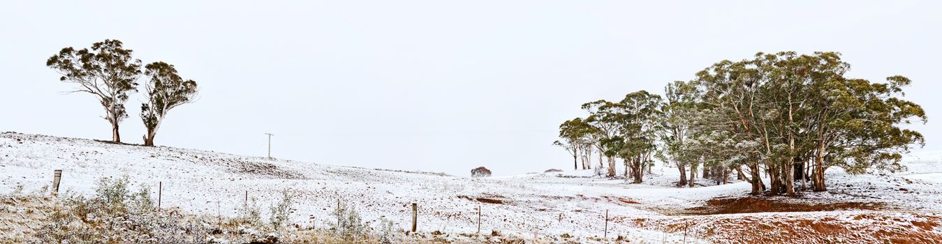 Australian rural landscape in winter panorama