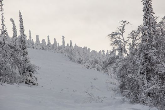 Ski slope in Lapland