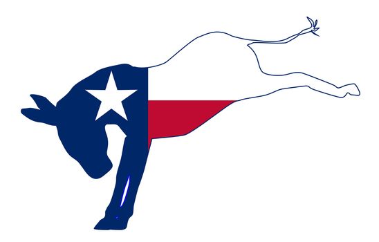 Texas Democrat Donkey Flag