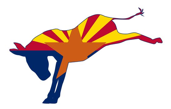 Arizona Republican Donkey Flag