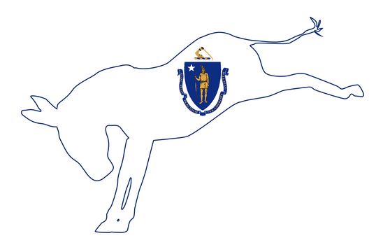 Massachusetts Democrat Donkey Flag