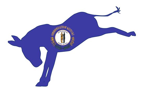 Kentucky Democrat Donkey Flag