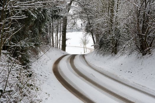Road with trees and snow