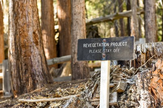 Revegetation Project sign in Sequoia National Park, California