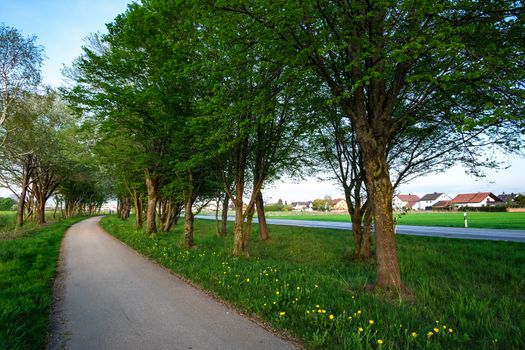 image of a bikeway and walkway with trees and grean meadow