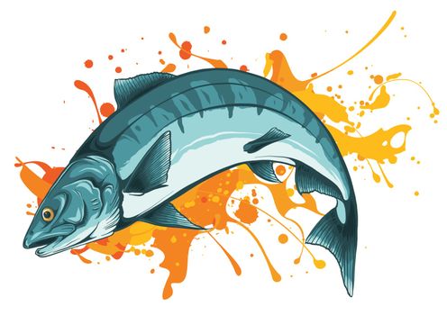 vector illustration salmon fish with color stain