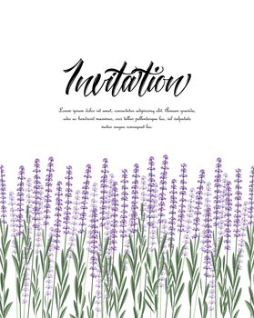 Vector illustration Natural background with purple lavender