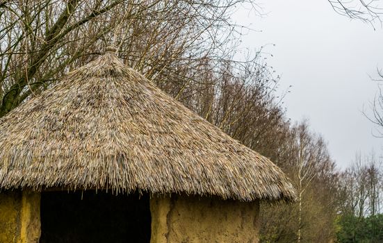 rooftop of a primitive house with thatched roof, garden decoration, nature background
