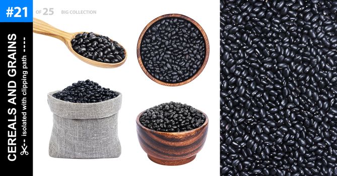 Black beans in different dishware isolated on white background, collection
