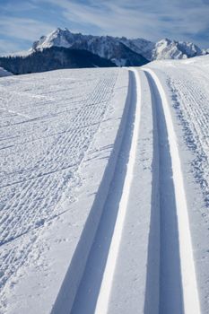 cross country skiing tracks in winter