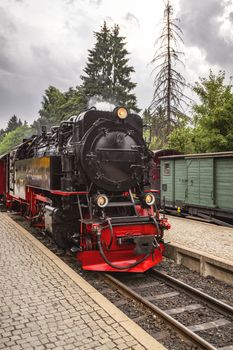 Locomotive arriving at a train station with trees