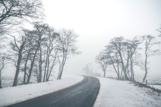 Highway curvy road in a misty winter scenery