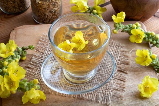 A cup of mullein tea with fresh mullein flowers