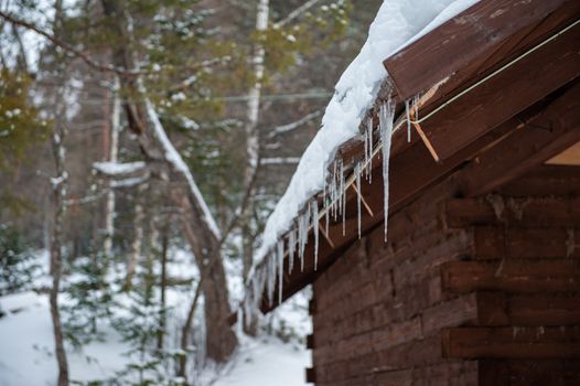 Closeup photo of the Icicles hang