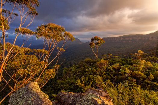 Majestic afternoon light in the Blue Mountains
