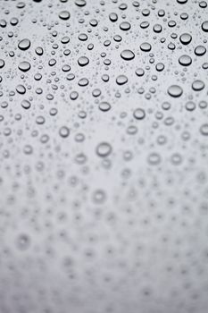 water drops on the window 