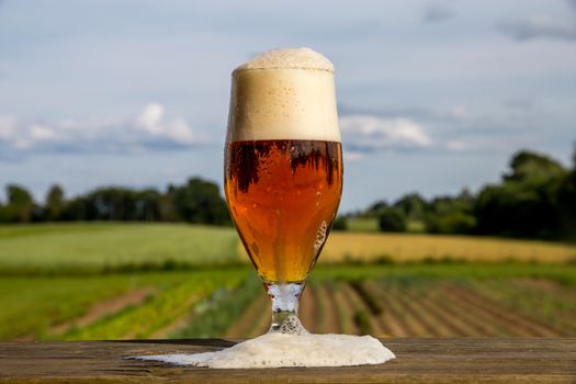 Glass of beer on summer landscape background. 
