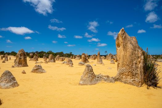 Upright standing rocks at the Pinnacles Desert in Western Australia