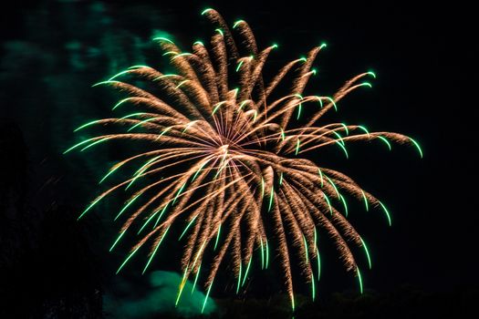 Firework fireworks celebration gold with green peaks