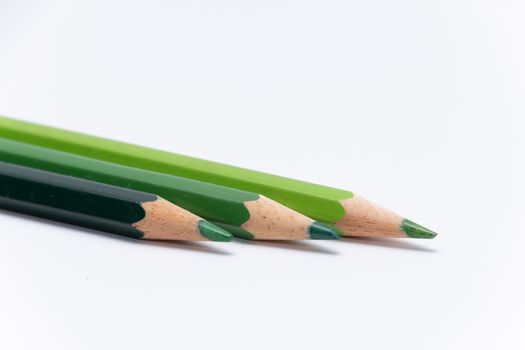 Crayons colored pencil in different colors crayon green tones