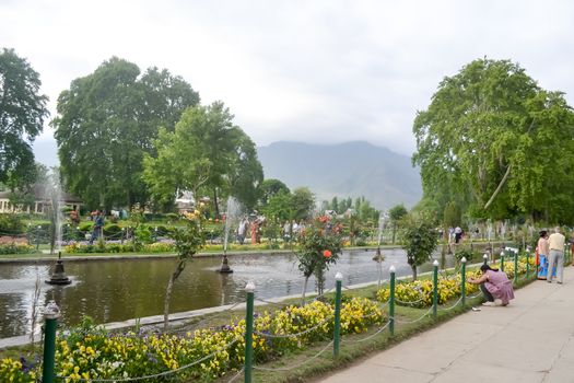 Shalimar Bagh, Mughal garden, January 10 2019: Inside view of Shalimar Bagh of horticulture, also called the "Crown of Srinagar", located on Srinagar city in Jammu and Kashmir, India.
