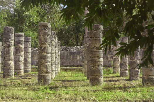 Mayan Columns and Tropical Vegertation #2