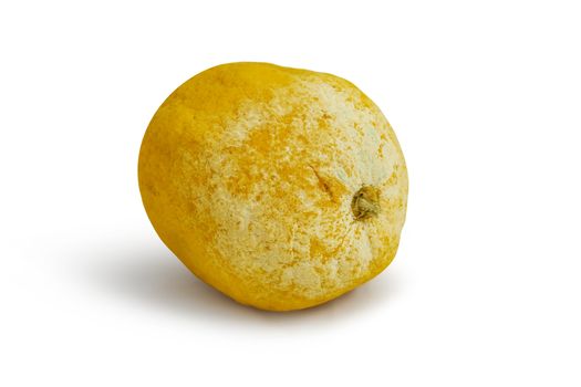Tainted lemon