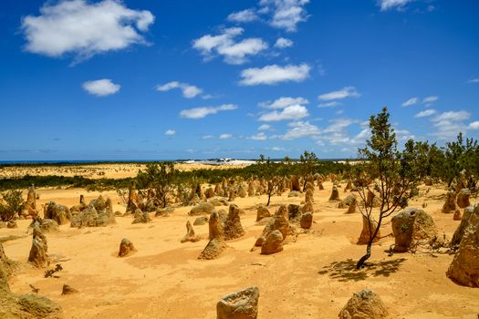 Famous standing rock formations at the Pinnacles Desert in Western Australia