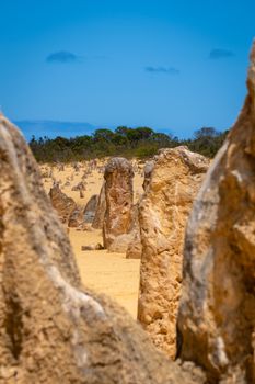 The Pinnacles Desert in hot dry landscape of Western Australia