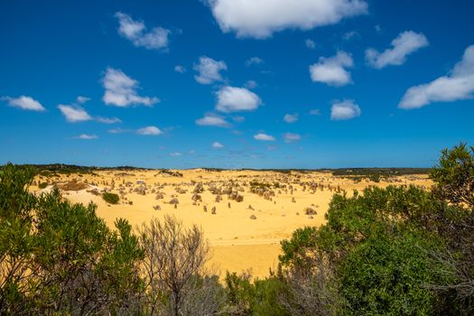 The Pinnacles Desert in hot sun of Western Australia
