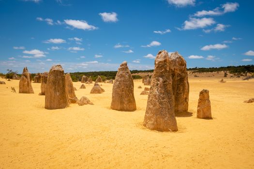 The Pinnacles dessert in Western Australia with its famous upright standing stalagmites