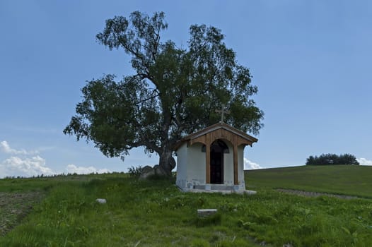 Beautiful  landscape with summer venerable birch tree and old chapel, located in Plana mountain