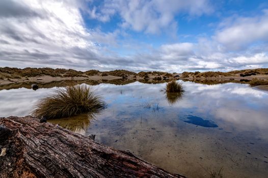 Reflections in a Rainwater Pond, Sand Dunes, Oregon, USA