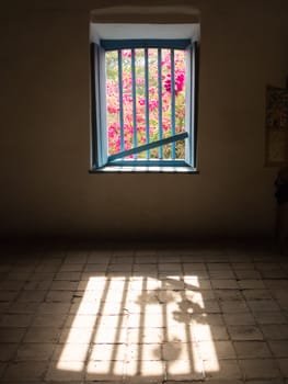 View of colorful flowers by the window of a dark room.